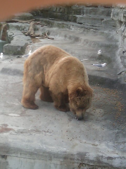 Phone Pictures 012.jpg
