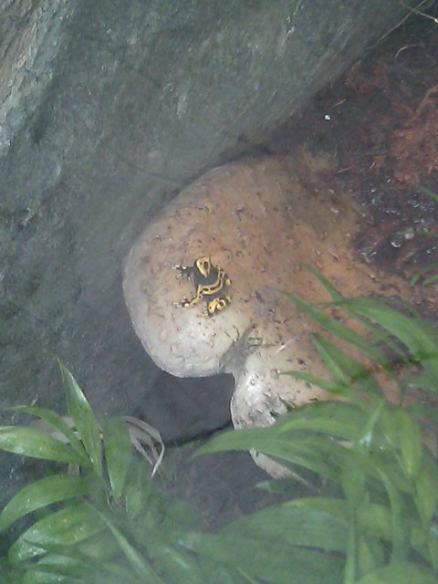 Phone Pictures 017.jpg