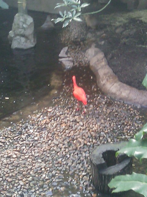 Phone Pictures 018.jpg
