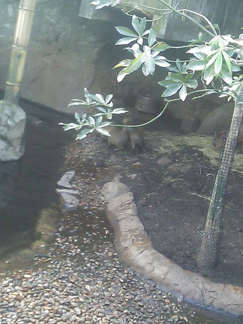 Phone Pictures 019.jpg