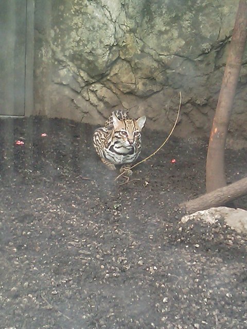 Phone Pictures 020.jpg