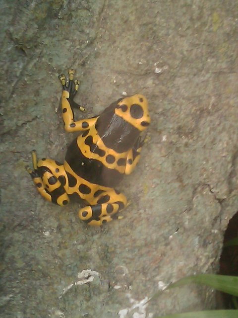 Phone Pictures 021.jpg