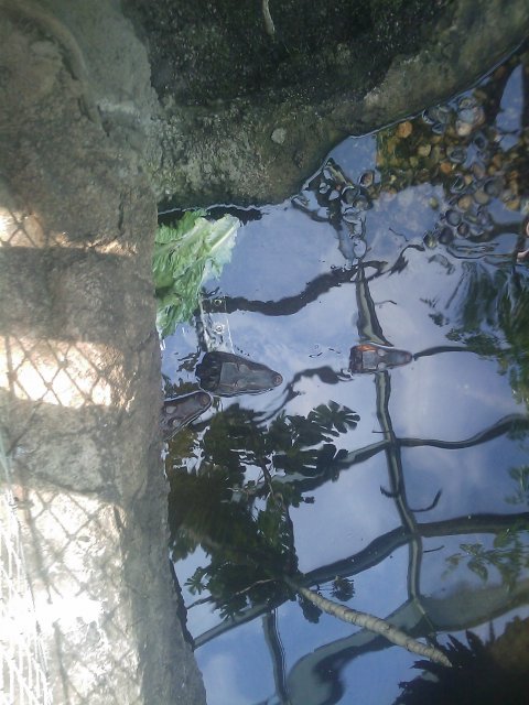 Phone Pictures 028.jpg