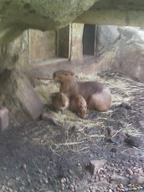 Phone Pictures 030.jpg