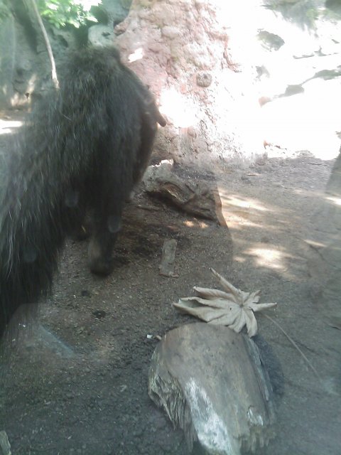 Phone Pictures 033.jpg