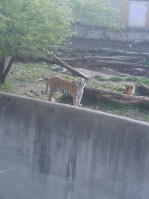 Phone Pictures 035.jpg
