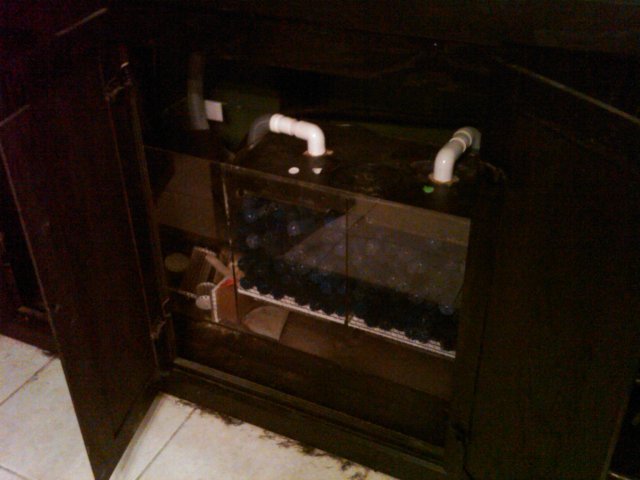 IMG00025-20100428-2122.jpg IMG00025-20100428-2122.jpg