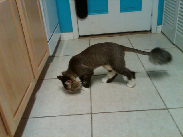 IMG00024-20100428-1934.jpg IMG00024-20100428-1934.jpg