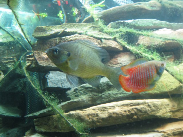 IMG_0054.JPG