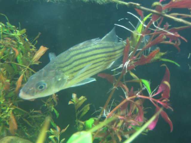 IMG_0058.JPG