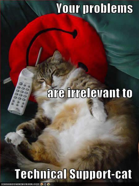 funny-pictures-cat-does-not-care.jpg
