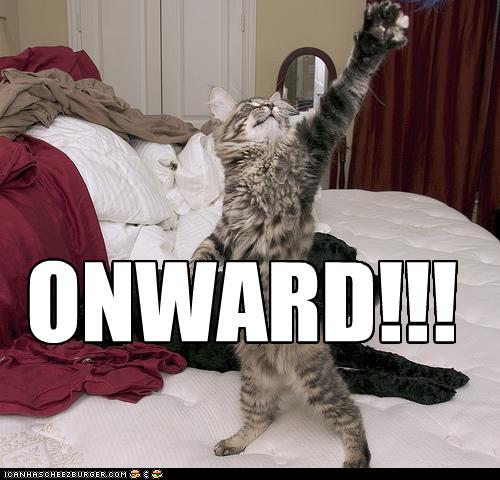funny-pictures-cat-will-go-on.jpg