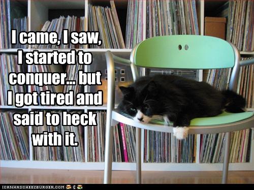 funny-pictures-cat-naps-on-chair.jpg