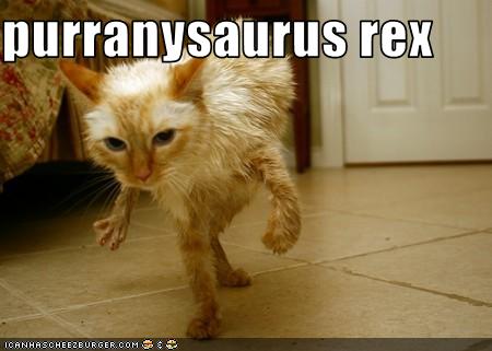 funny-pictures-cat-is-dinosaur.jpg