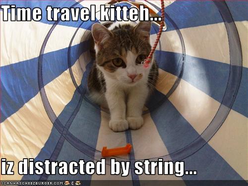 funny-pictures-kitten-time-travels.jpg