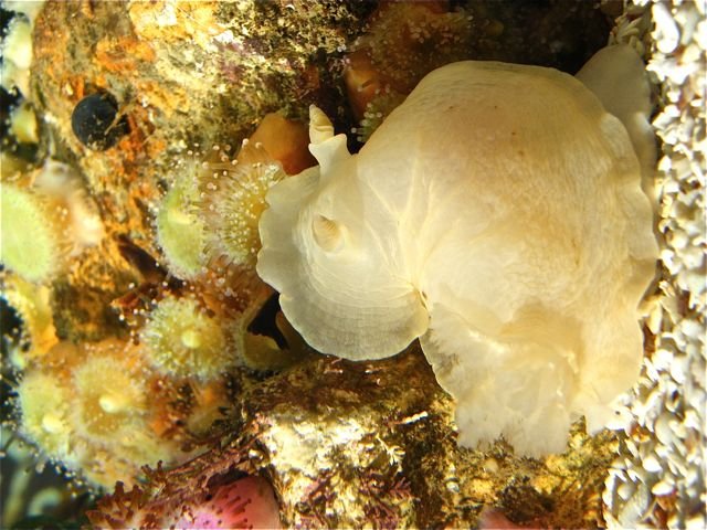 DSCF4610.jpg