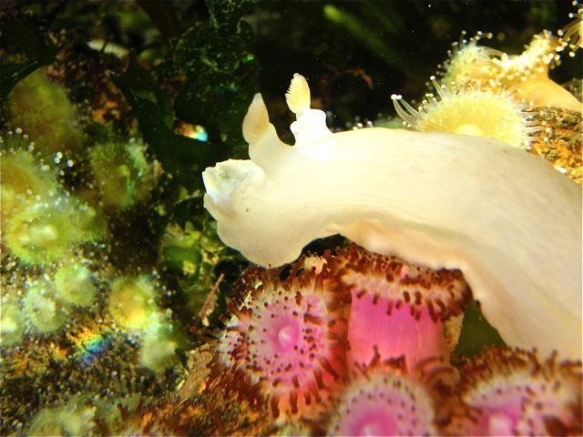 DSCF4624.jpg