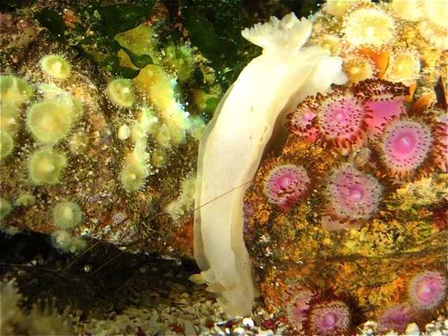 DSCF4629.jpg