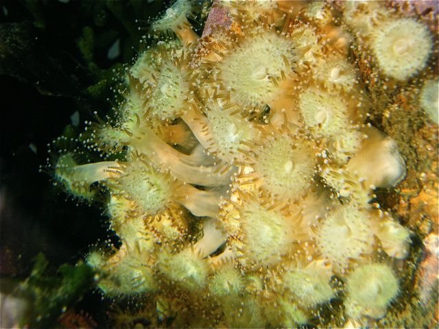 DSCF4640.jpg