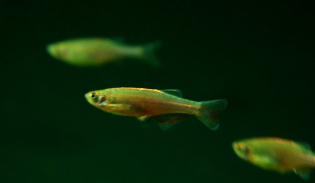 Copy of DSC_0634.JPG