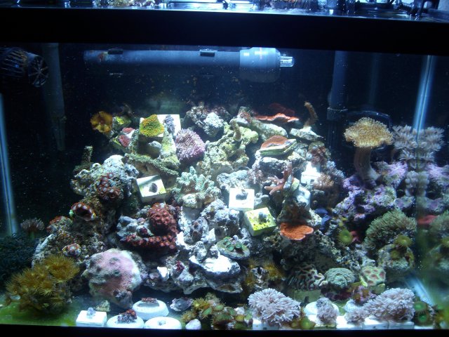 pictures1 028.JPG