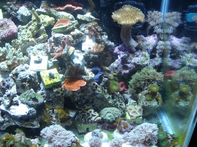 pictures1 030.JPG
