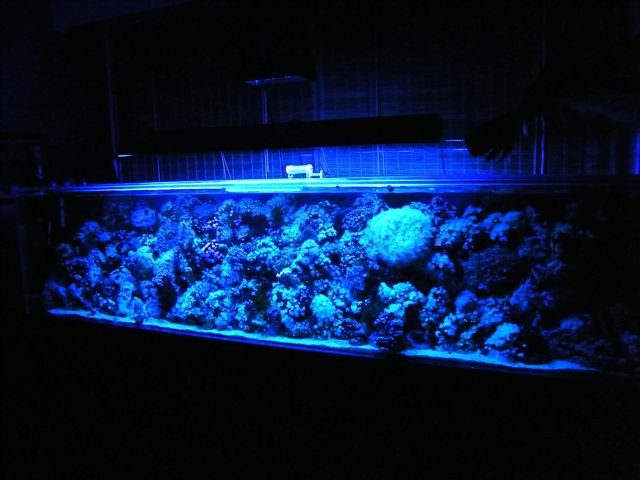 DSCF4529.jpg