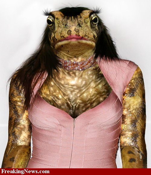 Frog-with-Make-Up--33330.jpg