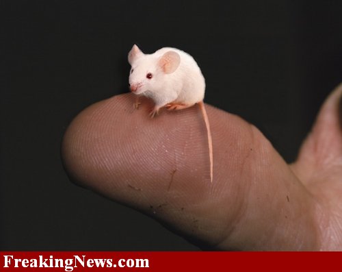 Mini-Mouse--22331.jpg