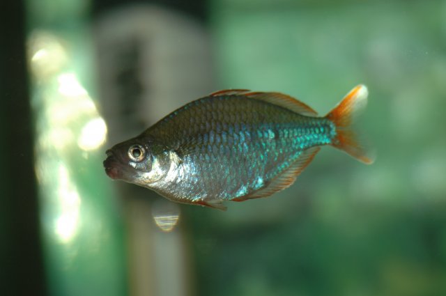 DSC_2088.JPG
