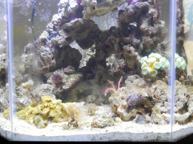 DSCN0031.JPG