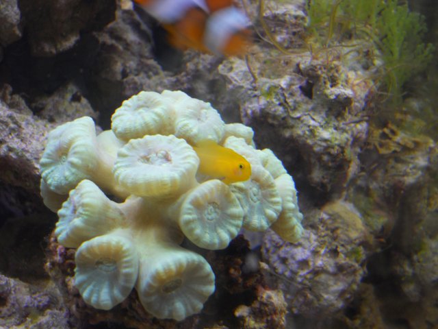 DSCN0042.JPG