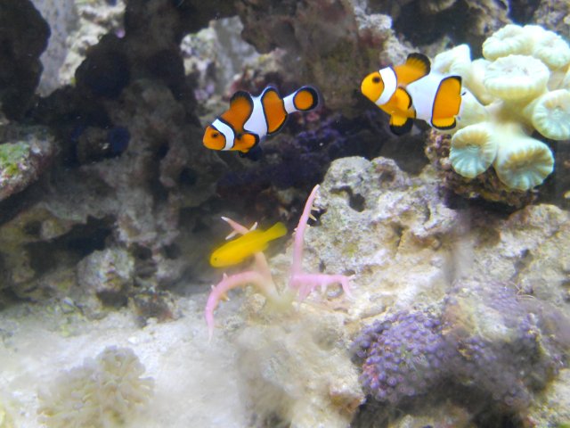 DSCN0048.JPG