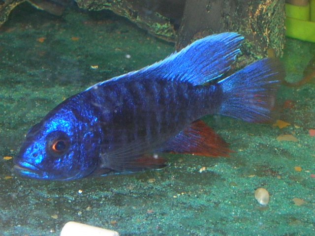 RSCN4070.JPG