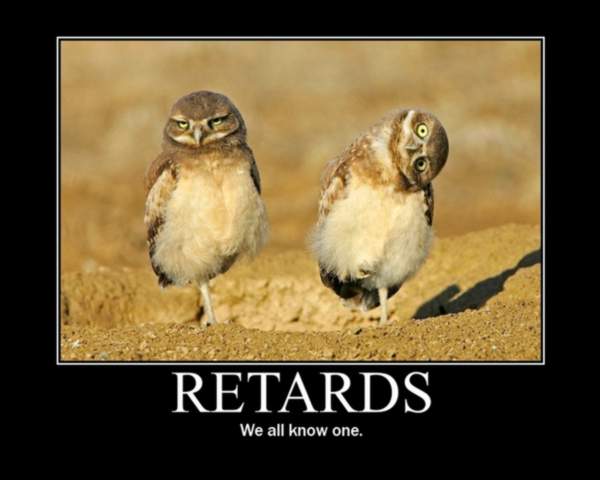 retardowl.jpg
