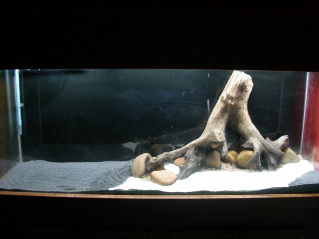 150 hardscape 001.JPG