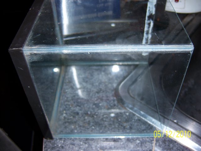100_3524.jpg