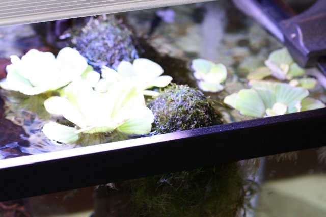 IMG_3314a.jpg IMG_3314a.jpg