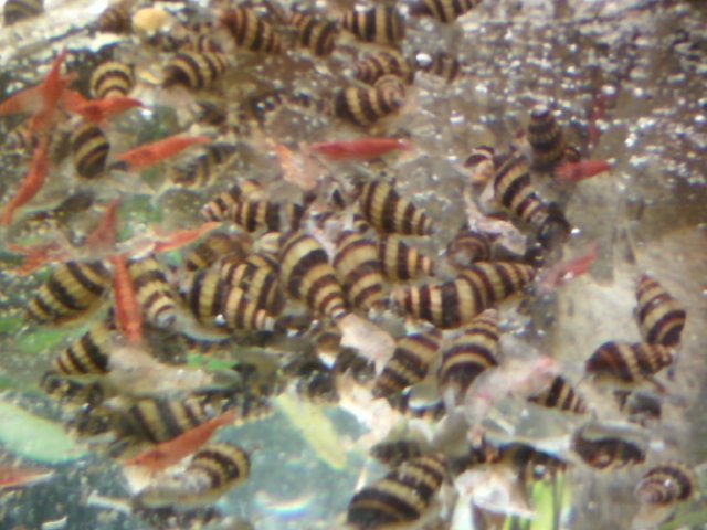 0419101635.jpg 0419101635.jpg