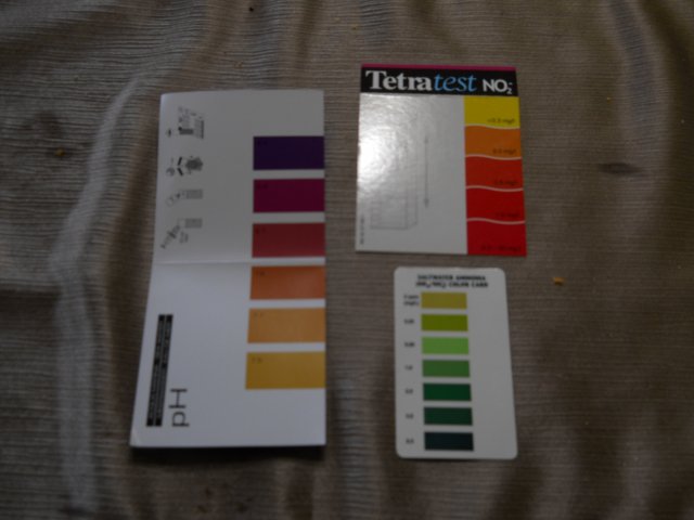 DSCN0071.JPG