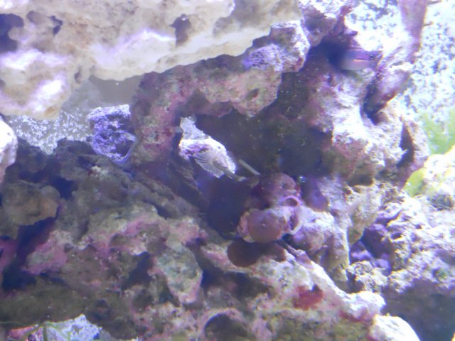 DSCN0072.JPG