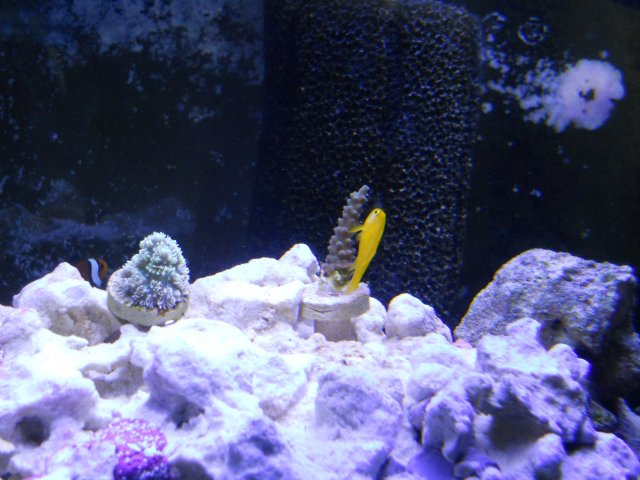 DSCN0078.JPG