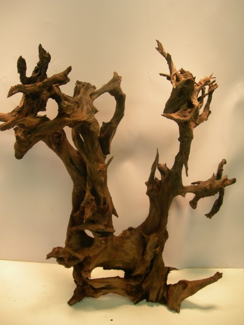 sun-16 001.JPG