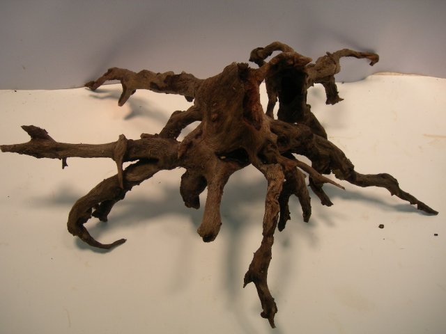 sun-16 007.JPG