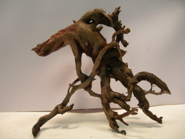 sun-16 009.JPG