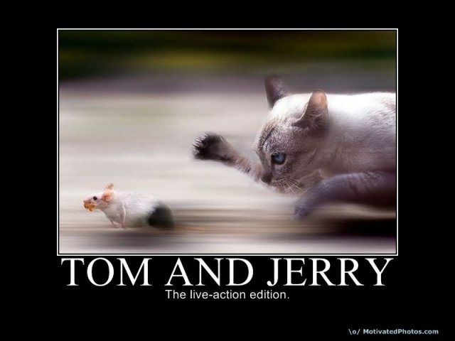 633767883458884055-TomandJerry.jpg