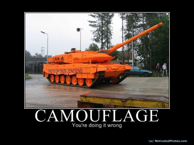633708549870200360-camouflage.jpg