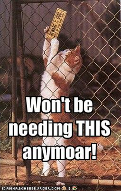 lolcats-71-9.png
