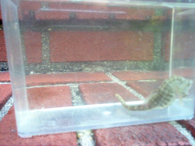 Picture 036.jpg