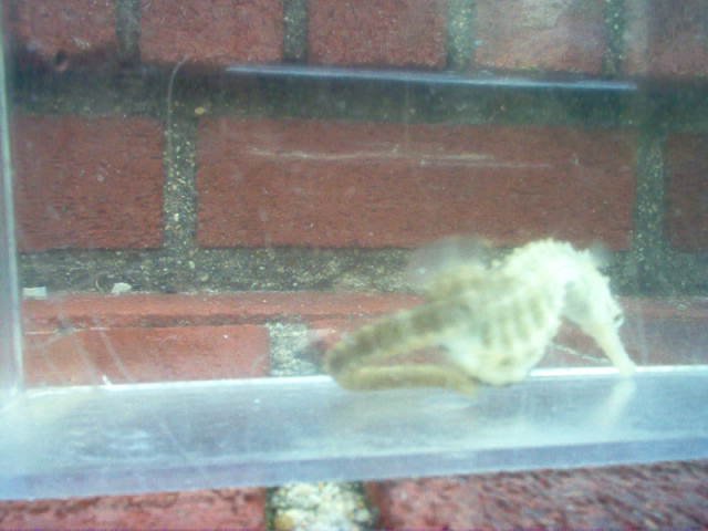 Picture 037.jpg